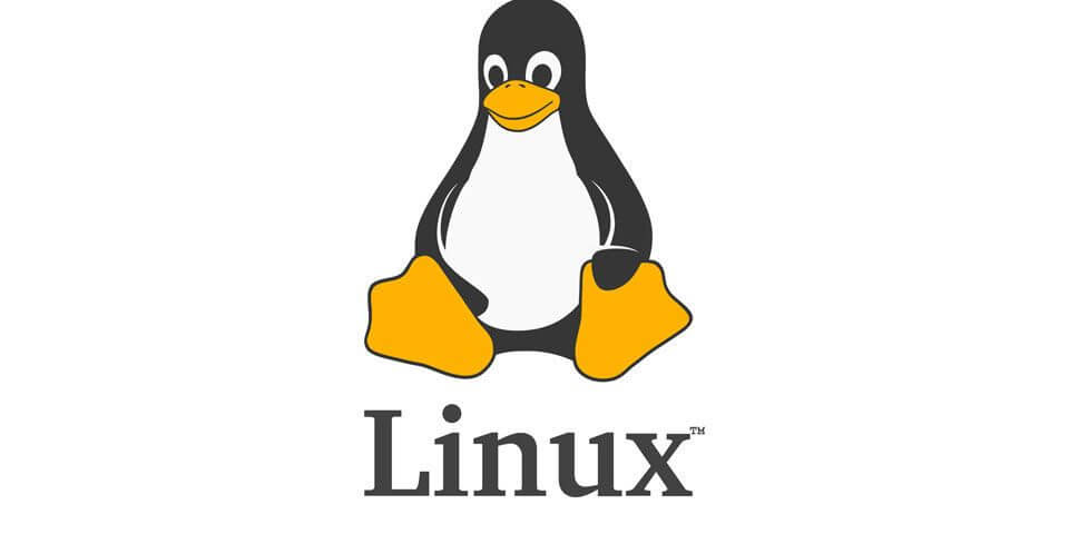 LINUX